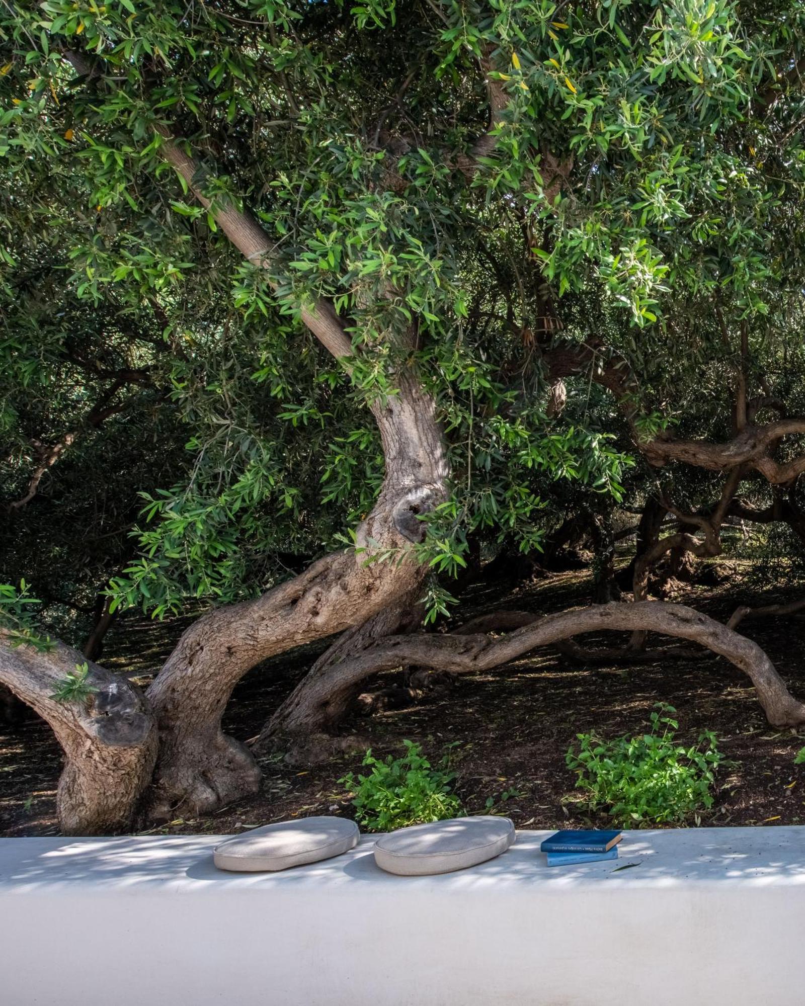 Vico San Lorenzo - Camere A Salina Malfa  Exteriér fotografie